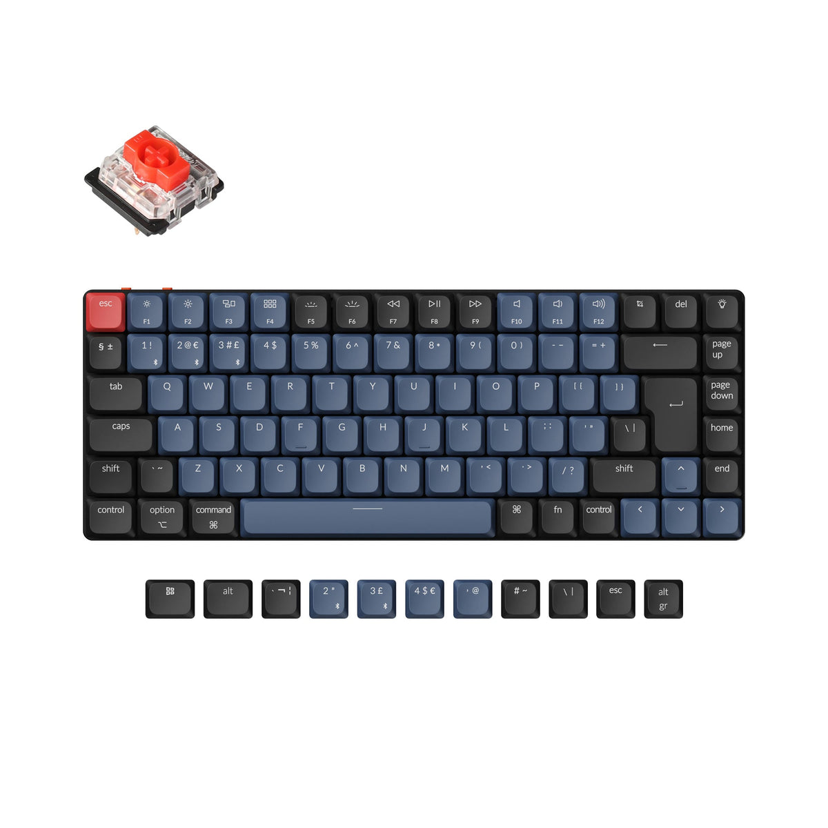 Keychron ISO/JIS Mechanical Keyboard Collection – Keychron Hong Kong