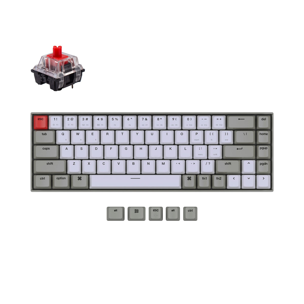 Normal Profile Keyboards – Keychron Hong Kong