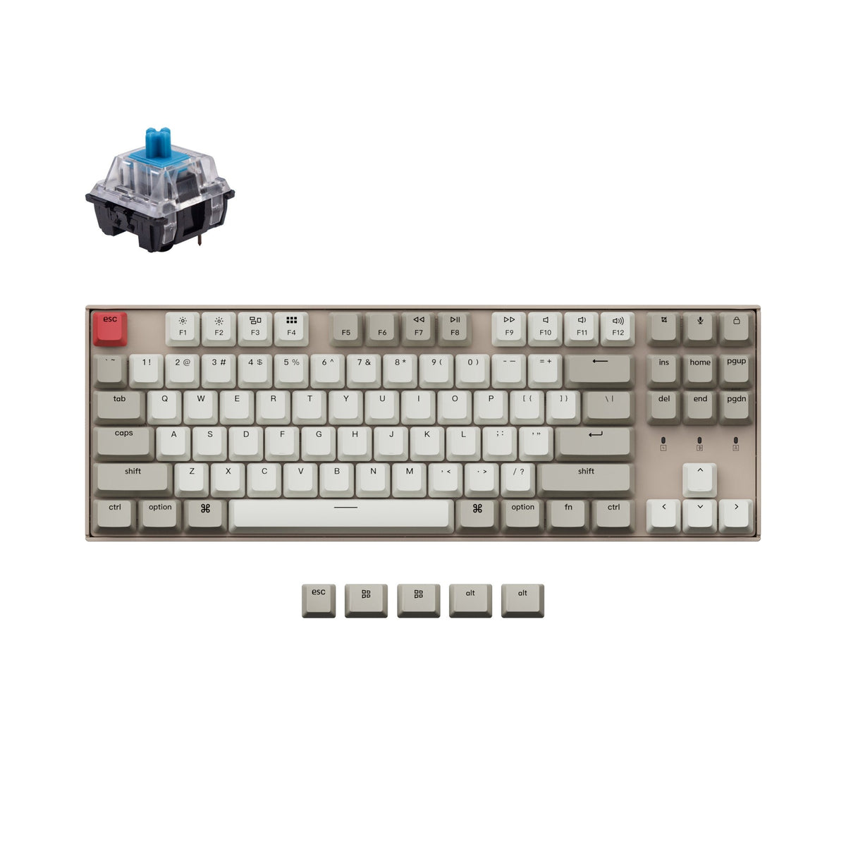 Normal Profile Keyboards – Keychron Hong Kong