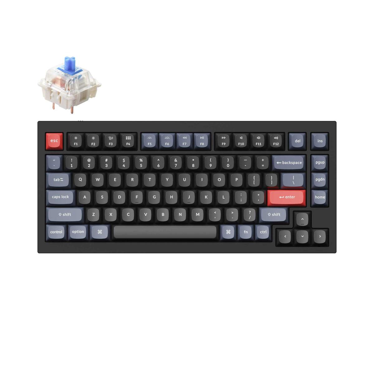 Keyoar Keychron Hong Kong | Custom Mechanical Keyboards for Mac, Windows