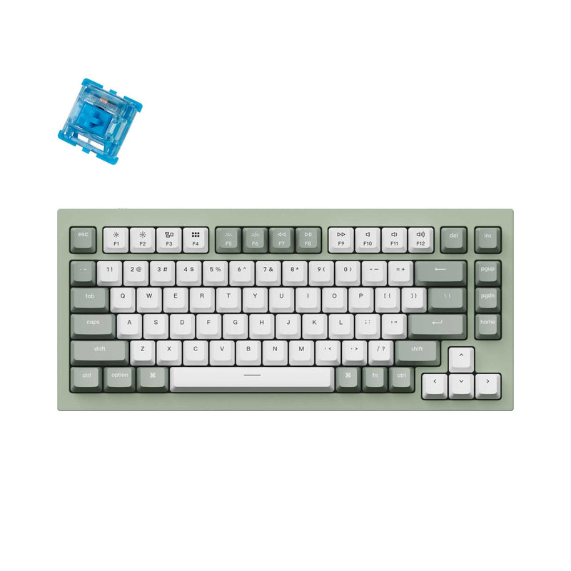 Keychron Q1 QMK VIA custom mechanical keyboard 75 percent layout full aluminum green frame for Mac Windows RGB backlight with hot swappable Gateron G Phantom switch blue