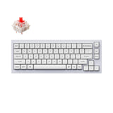 Keychron Q2 QMK VIA custom mechanical keyboard 65 percent layout full aluminum black frame for Mac Windows iOS RGB backlight with hot swappable Gateron G Pro switch red Shell White