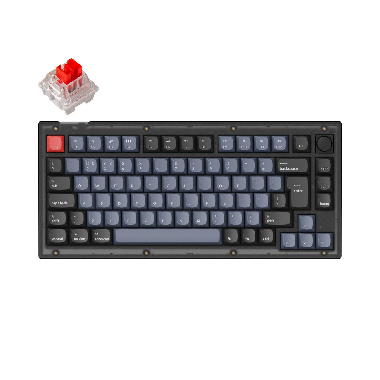 Keychron V1 QMK VIA custom mechanical keyboard 75 percent layout frosted black knob hot-swappable Keychron K Pro switch red UK ISO layout
