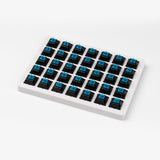Cherry Blue Switches