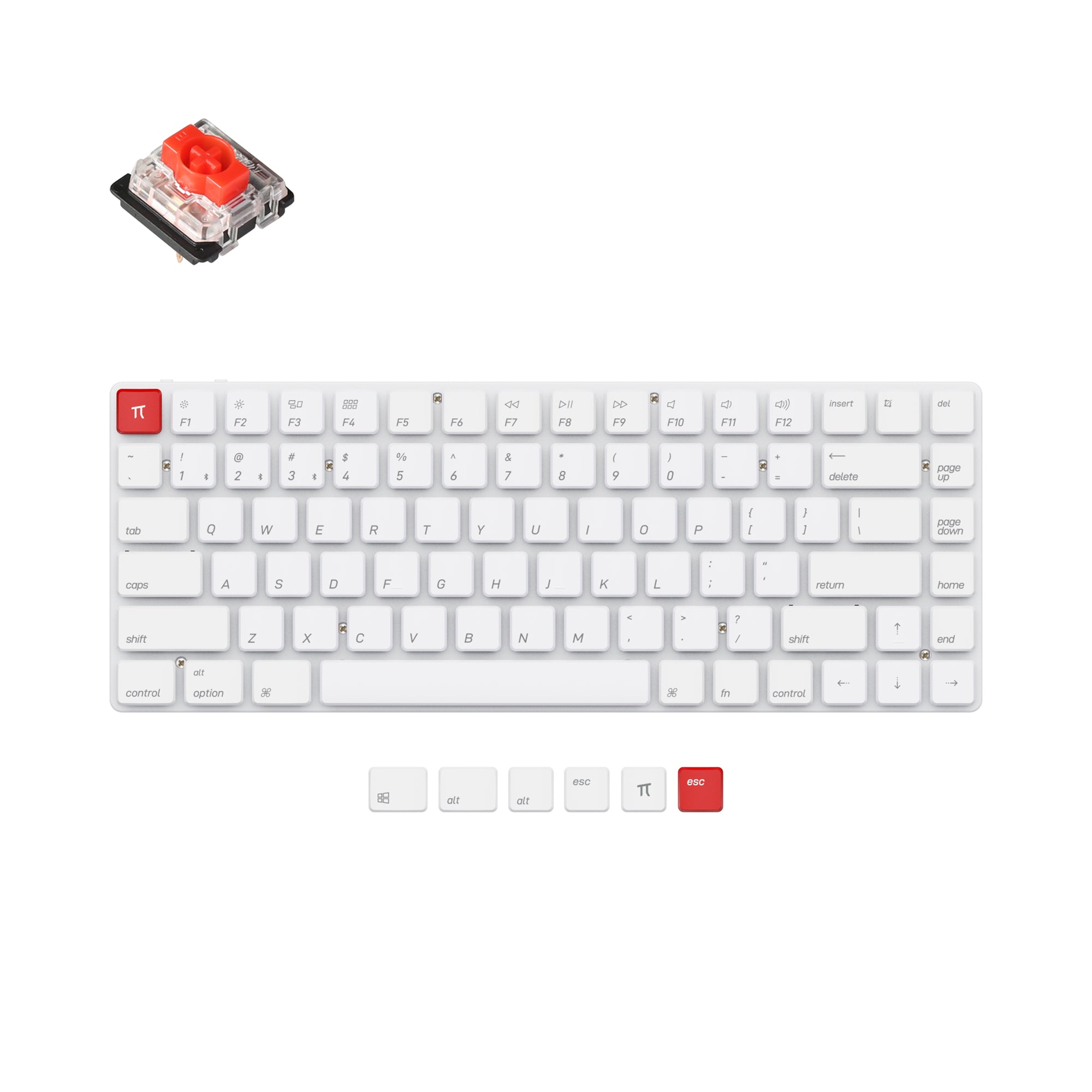 Keychron K3 V2 Non-Backlight Ultra-Slim Wireless Mechanical Keyboard ( –  Keychron Hong Kong